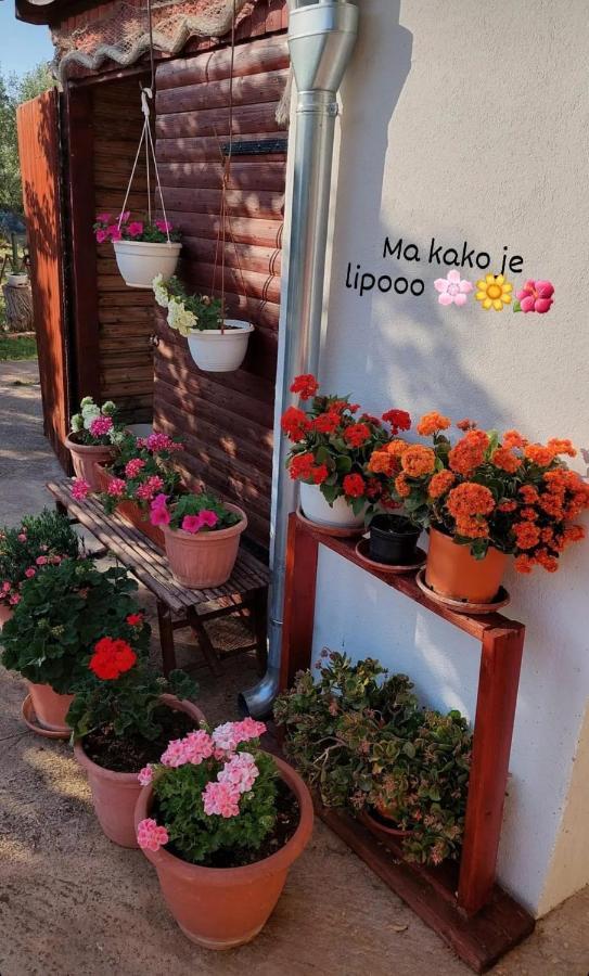 Rooms Ive Lozovac Dış mekan fotoğraf