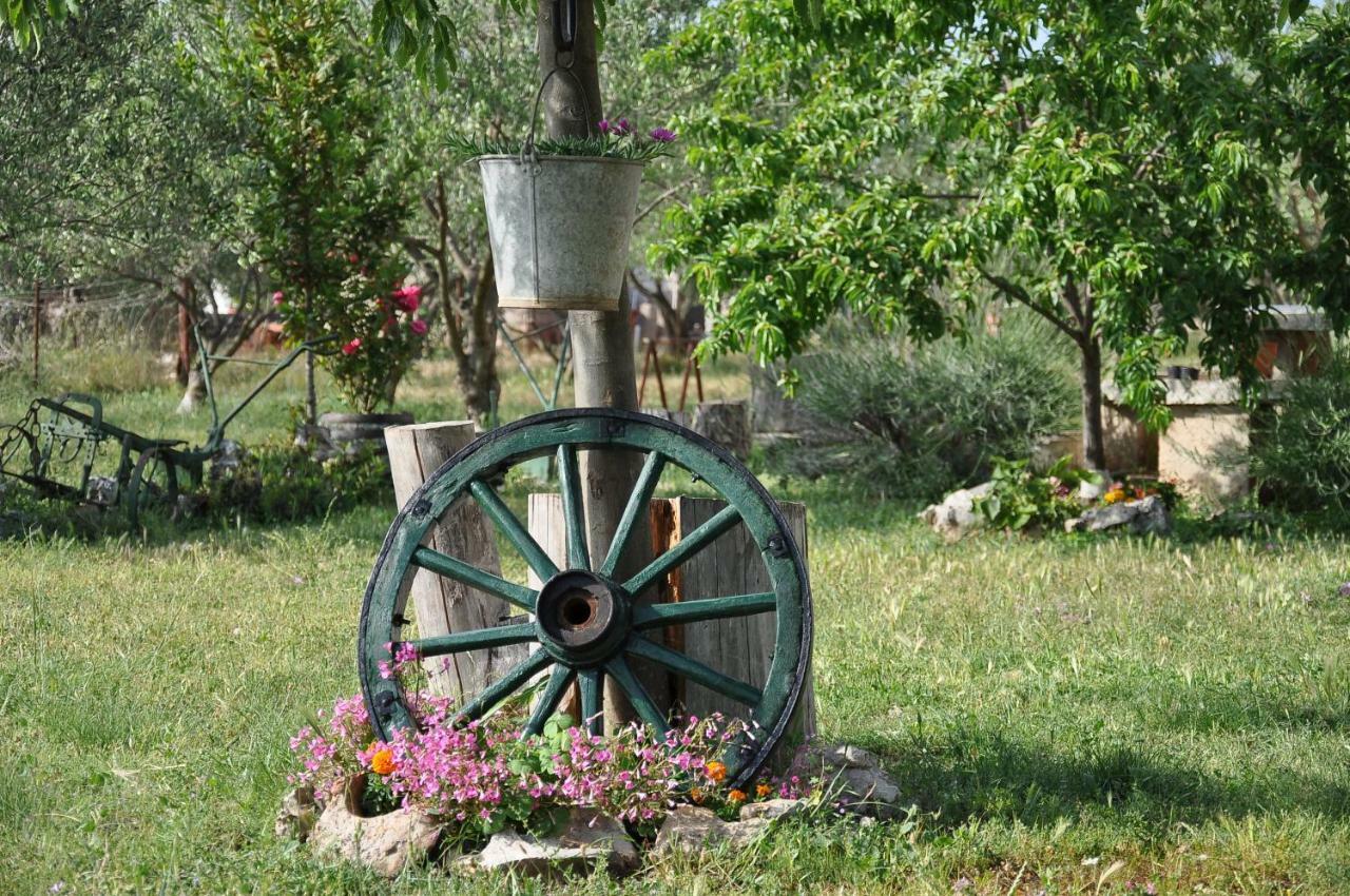 Rooms Ive Lozovac Dış mekan fotoğraf